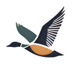 Drake edition die cut sticker featuring a flying waterfowl duck in multicolor.