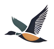 Drake edition die cut sticker featuring a flying waterfowl duck in multicolor.