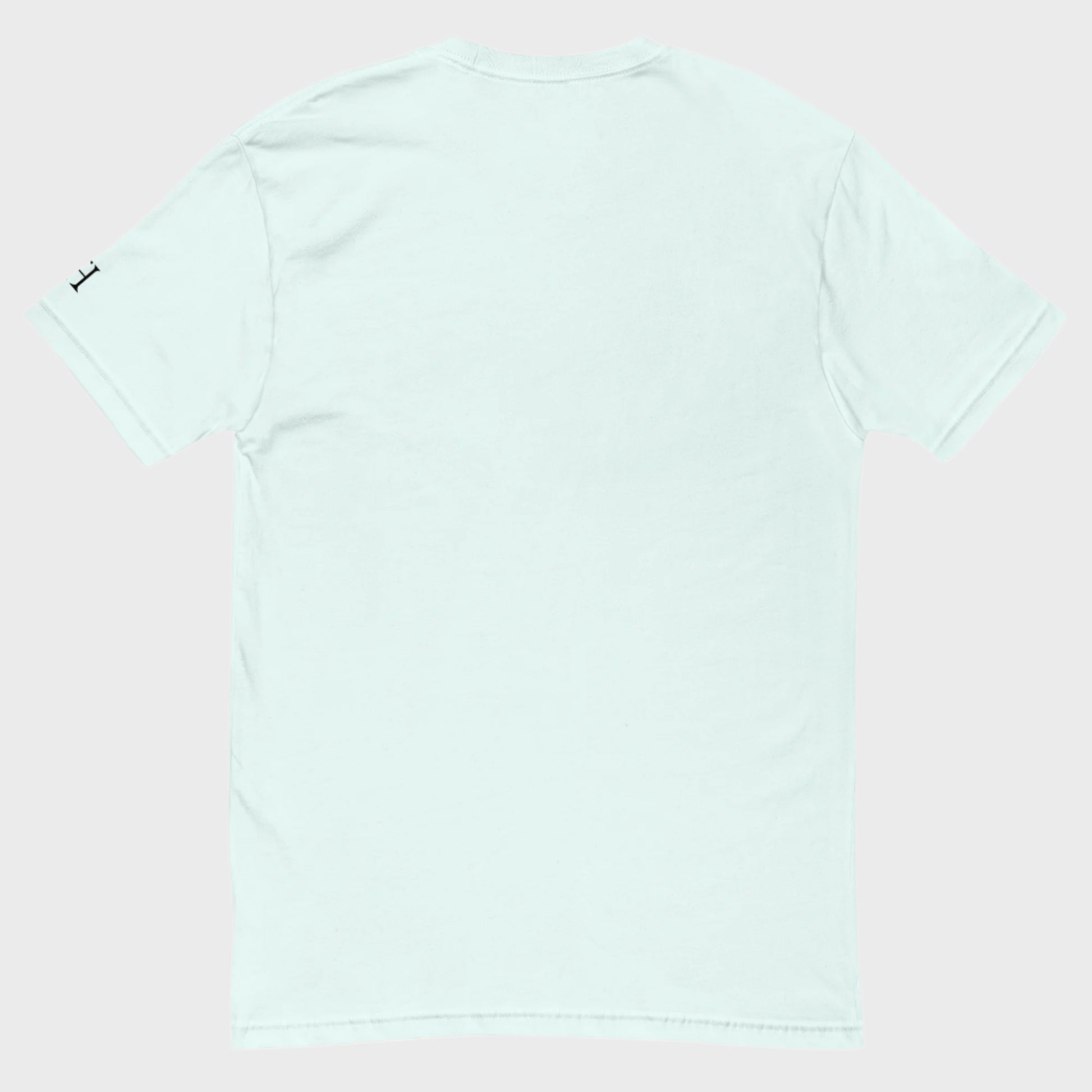 Back of FH Fitted Performance T-shirt in Light Blue, blank with no graphics or text.