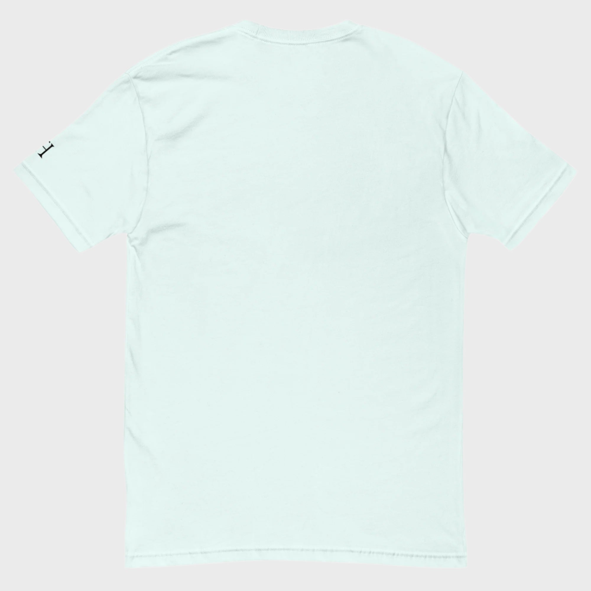 Back of FH Fitted Performance T-shirt in Light Blue, blank with no graphics or text.