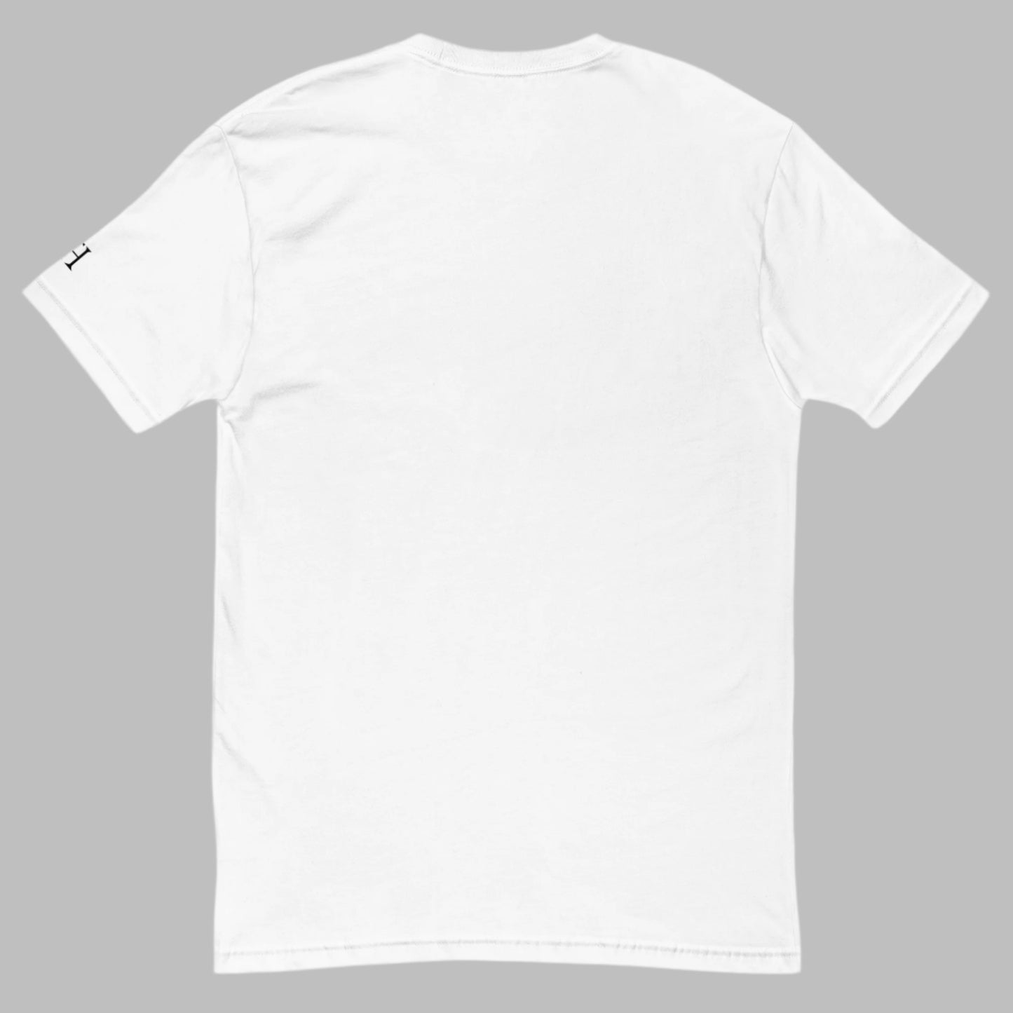 Back of white T-shirt, blank with no graphics or text.