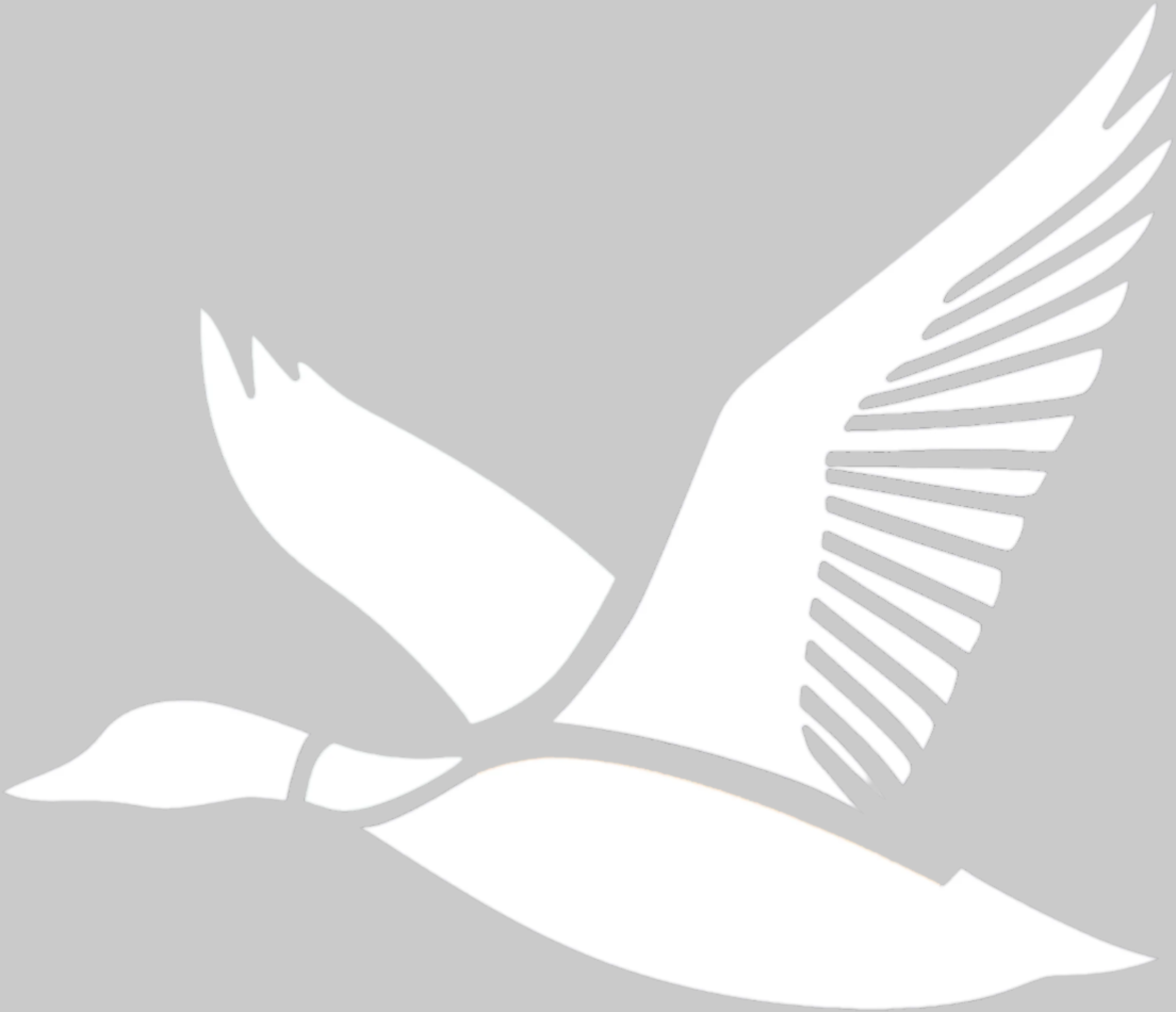Crisp white vinyl decal featuring a flying duck, designed for durable outdoor application on trucks and gear.